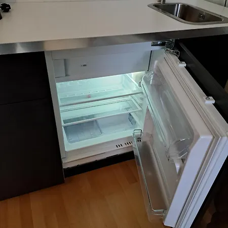 Gruenes Im Scharfrichterhaus パッサウ