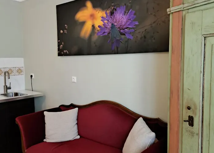 Gruenes Im Scharfrichterhaus アパート パッサウ