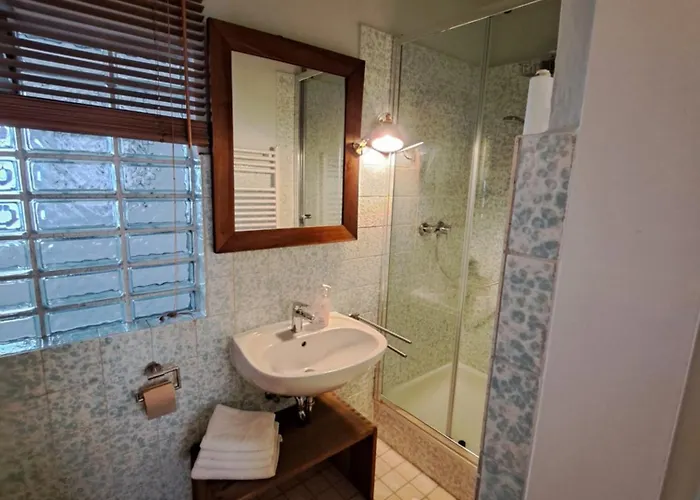 Gruenes Im Scharfrichterhaus アパート パッサウ