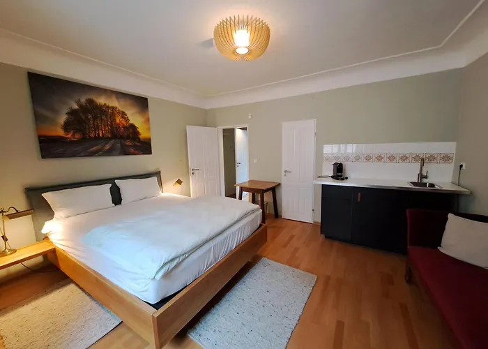 アパート Gruenes Im Scharfrichterhaus パッサウ